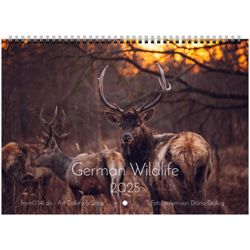 Wildlife Wandkalender A4 - English – Bild 1