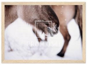 0627eb86-4a22-4b4f-91cc-a808a9acc27f