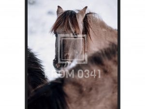 2c02be60-f4d7-4bf0-98ed-4c87b7a0affd