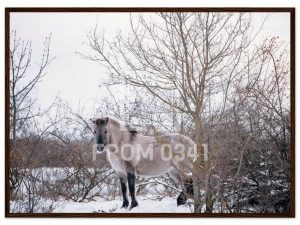 54cd7723-4512-48fd-8f17-cab07b533f65
