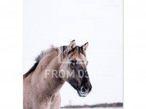 609d8252-4983-4cdf-8fab-a86a2e05671c