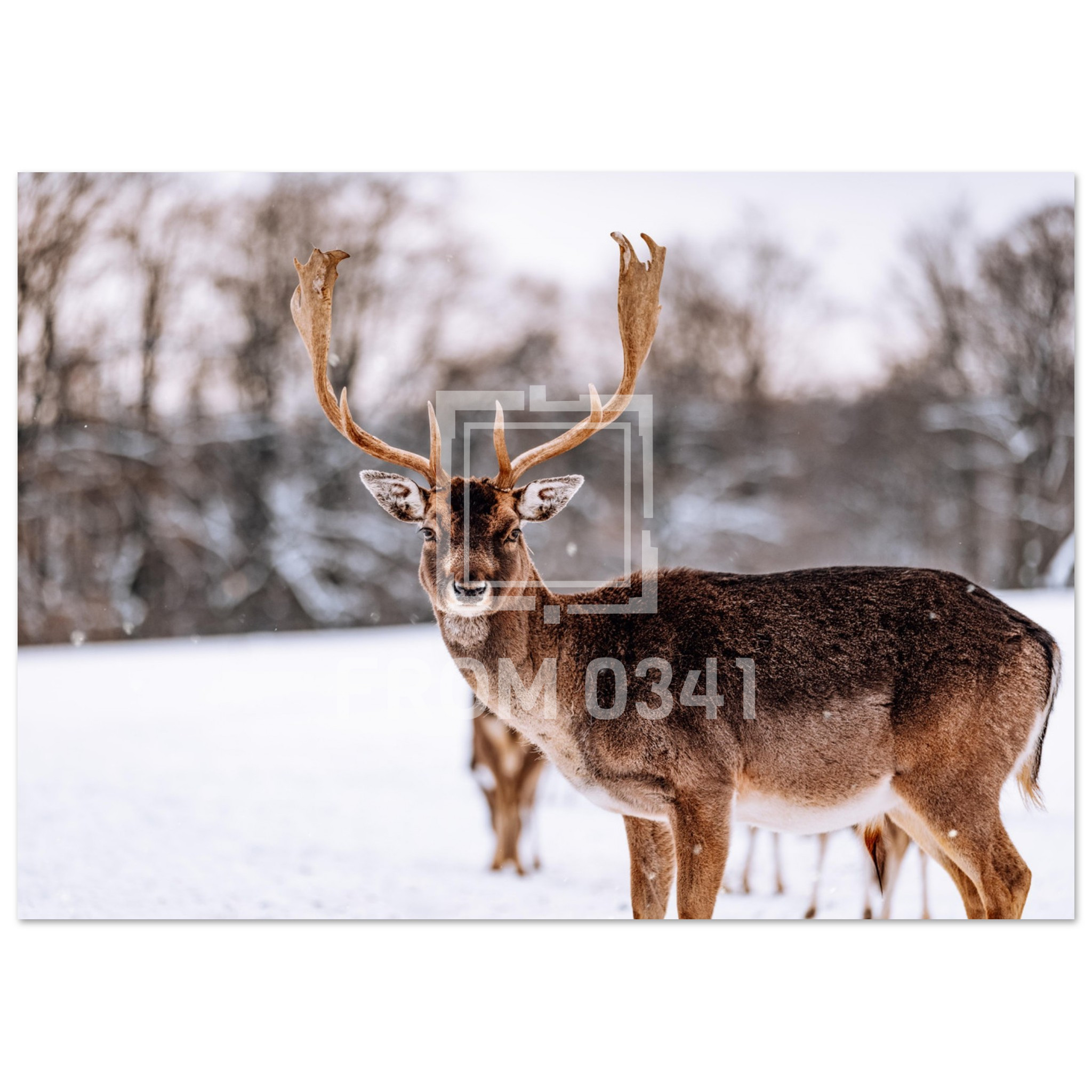 63917abf-6cb0-468f-b02a-f5627bb1f6a5