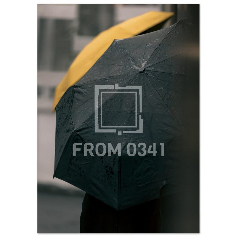 6b319059-fcaa-4556-96e3-2577a3db1ebd