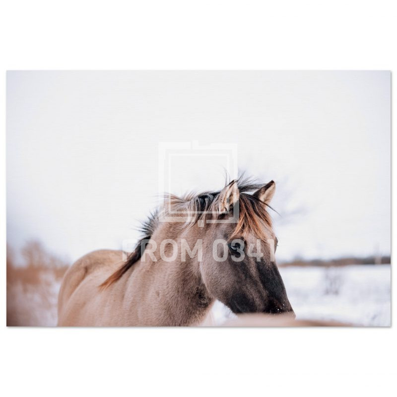 700e44fb-8bec-4e14-8163-61aaf338904d
