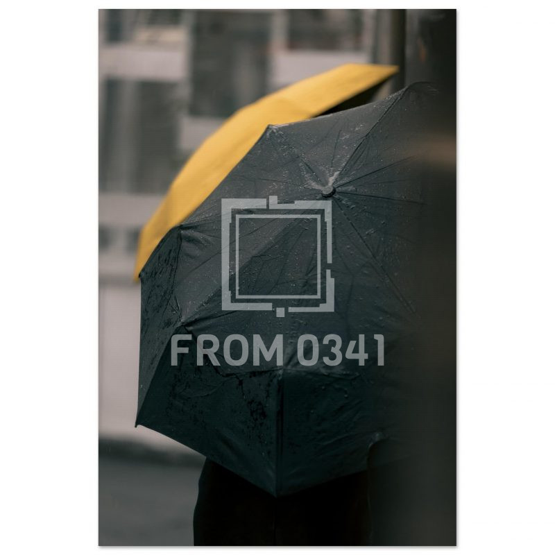 770b30c5-be30-4a7f-a2f0-bd62dd7ecf9c