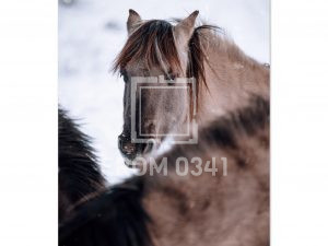 80df0220-8e2a-4ddd-8734-c8514ff1d08e