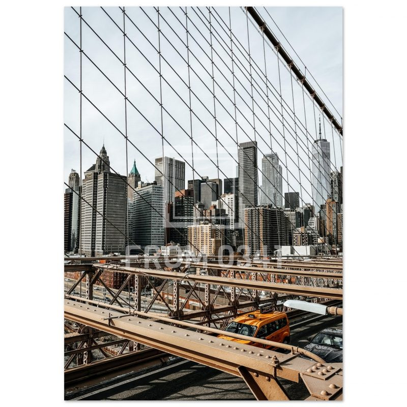 8107e2d1-f981-4577-b4fd-11df79d79567