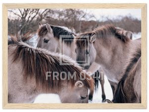 96f55a57-02ef-4412-9bcd-bb416bfaf97c