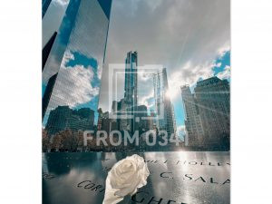 a1286160-ea3f-453b-96dd-f7b89fb913ed