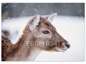 a3605a99-216d-4510-8780-06bb59c70814
