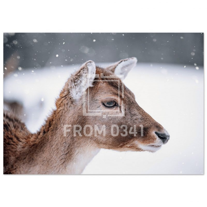 a3605a99-216d-4510-8780-06bb59c70814