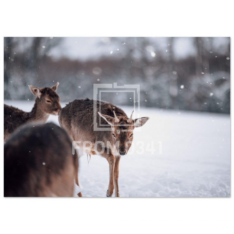 a41855db-6704-449d-9e2a-59bebe6e0e7f
