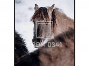 a5d17774-0cc5-4b62-a2f6-4058649136a2