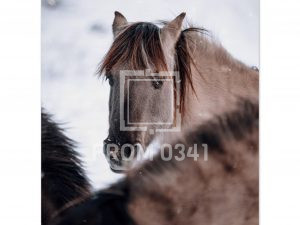 ac39ad71-21f5-4c4f-b128-b1441d99d601