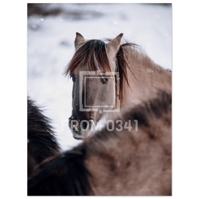 ac39ad71-21f5-4c4f-b128-b1441d99d601