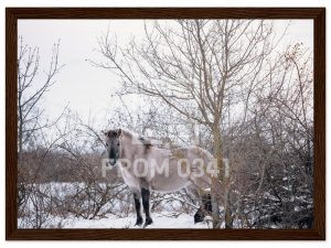 b4d6bead-11cb-40e3-8fe7-04805b9453ac