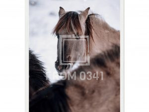 be76eb95-9fea-4489-985c-9d1f63e63ad1