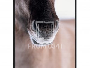 c1ecea44-f239-419f-bd0a-4525be88d85c