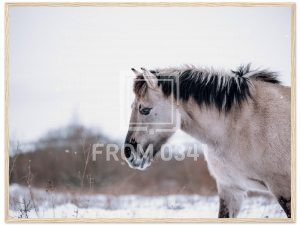 c44166ff-08b5-4046-9391-df049df9b285