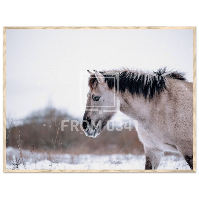 c44166ff-08b5-4046-9391-df049df9b285