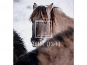 c60e4008-2a3e-45ab-9462-3b0f76a4c4d0