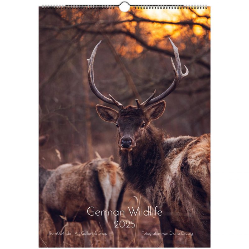 Wildlife Wandkalender A3 Hoch - English – Bild 1