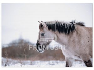 d5fe167b-f162-467e-a980-52c5971adeaf