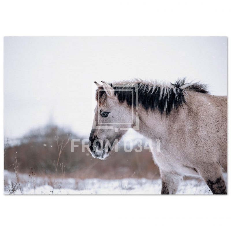 d5fe167b-f162-467e-a980-52c5971adeaf