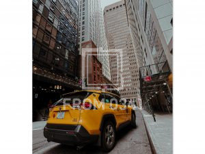 d7e9e80f-1ead-4262-91a8-e0feed71ee4c