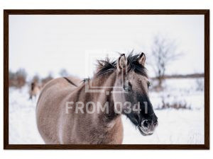 da8170d4-5ba1-43ad-a799-5b400c141c5f