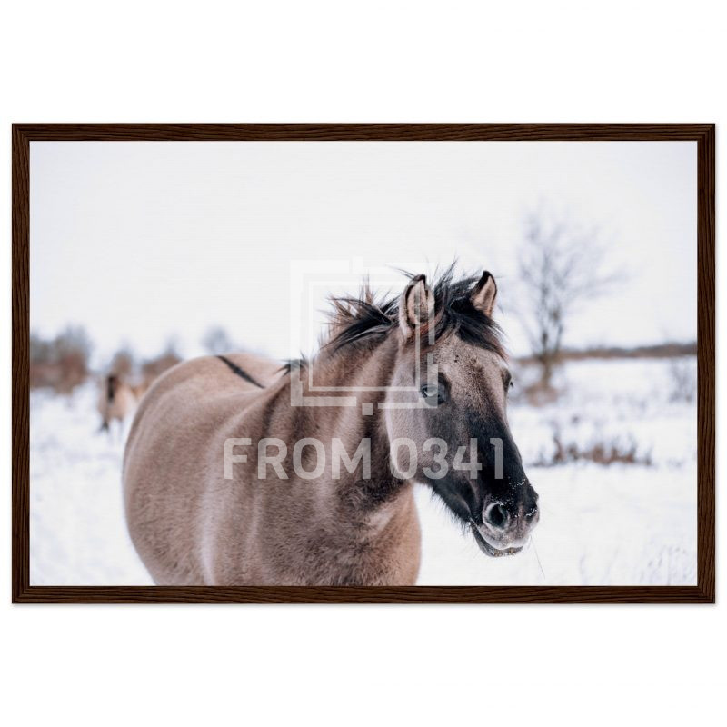 da8170d4-5ba1-43ad-a799-5b400c141c5f