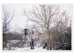 da97d7b5-da09-416b-abc6-10929bedf1d4