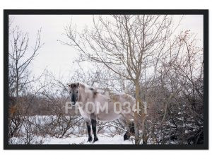 e4568700-3b6c-48db-b409-44b7962a5898