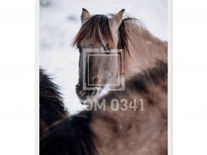 e4cf660b-7363-46c4-8567-09308ab59c03