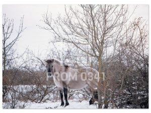 e5fb35bd-ff2c-4731-8028-d5eeaf9ec323