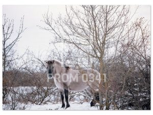 ea194e7d-cd64-4f2e-92ee-161dfd019821
