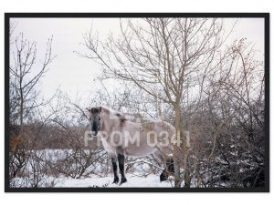 ea51ea71-7f30-4c3f-b2a9-7c339afd517a