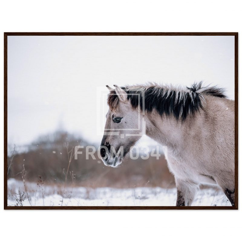 f318f36a-f20a-4de5-8bca-69cc3c969fd7