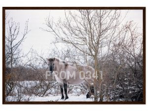 f93876fa-70ed-4087-8953-f66fc1365bfb