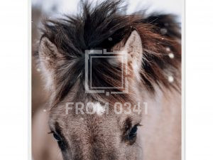f9e2562f-5611-41d3-9a69-bb290d52a0e7
