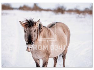 fd17c52c-6ff4-45f4-9fbc-facee14005d0